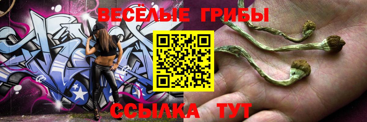 Галлюциногенные грибы Magic Shrooms Ртищево