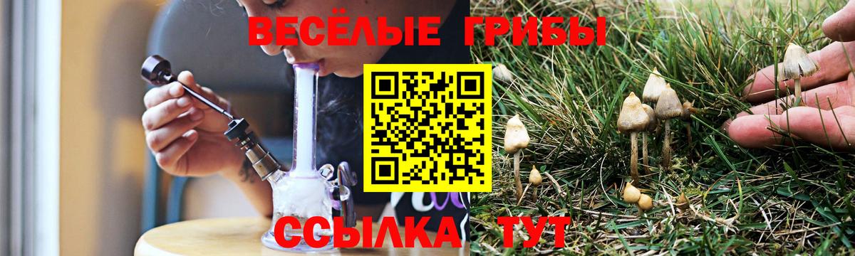 Ртищево  Галлюциногенные грибы Psilocybe  Псилоцибиновые грибы Magic Shrooms  Вход с VPN 